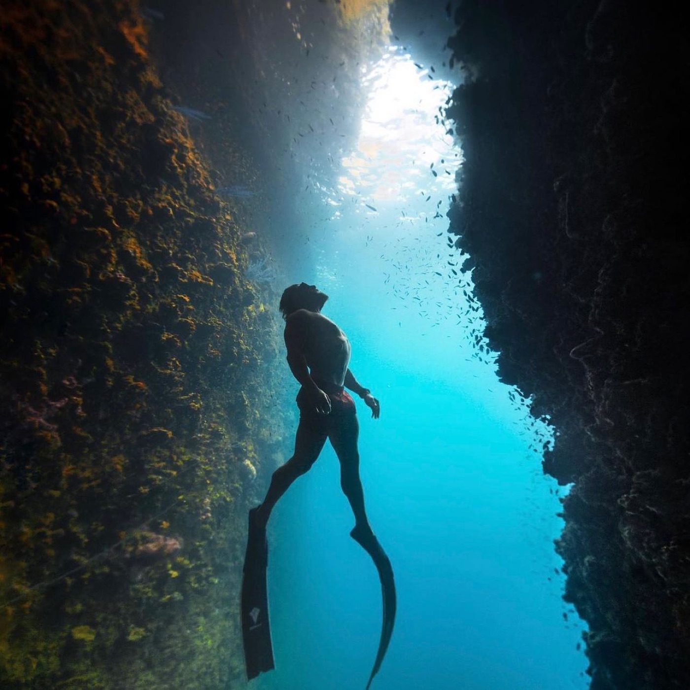 Apnea in una grotta marina, luce dall'alto